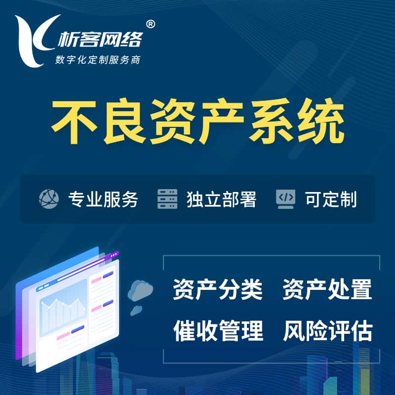 云南不良资产管理系统